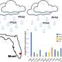 Rainwater samples reveals it’s literally raining ‘forever chemicals’ in Miami