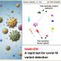 Scientists in Japan develop new SARS-CoV-2 variant detection method