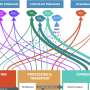 Oil and gas well proximity linked to higher rates of COVID-19 mortality