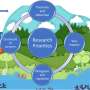 Researchers call for recognition of tire particles as a distinct environmental threat