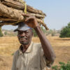 Agroecology offers blueprint for resilient farming in northern Ghana