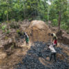 DRC’s reliance on charcoal threatens forests and fuels armed conflict