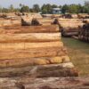 Yacht maker Sunseeker fined in landmark Myanmar ‘blood timber’ case