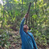 Indonesia’s Indigenous communities sidelined from conservation