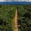 Narco airstrips beset Indigenous communities in Peruvian Amazon