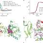 A new class of antivirals could help prevent future pandemics