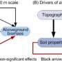 Biotic factors contribute more to aboveground biomass across scales