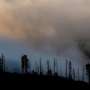 After wildfires, ranchers face two-year delay to graze cattle on federal land—is it doing more harm than good?