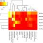 New research reveals link between air pollution, water quality and multiple long-term chronic conditions in Serbia