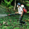 Pesticide exposure drives up rural women’s cancer risk in Brazil farming belt