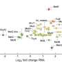 Promising combo-drug treatment targets melioidosis while leaving gut microbiome bacteria unscathed