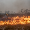 After a searing Amazon fire season, experts warn of more in 2025