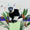 What singing lemurs can tell us about the origin of music