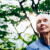 Jane Goodall awarded the Presidential Medal of Freedom