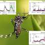 Machine learning and climate data offer new insights into dengue forecasting