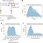 COVID-19 linked to increase in biomarkers for abnormal brain proteins