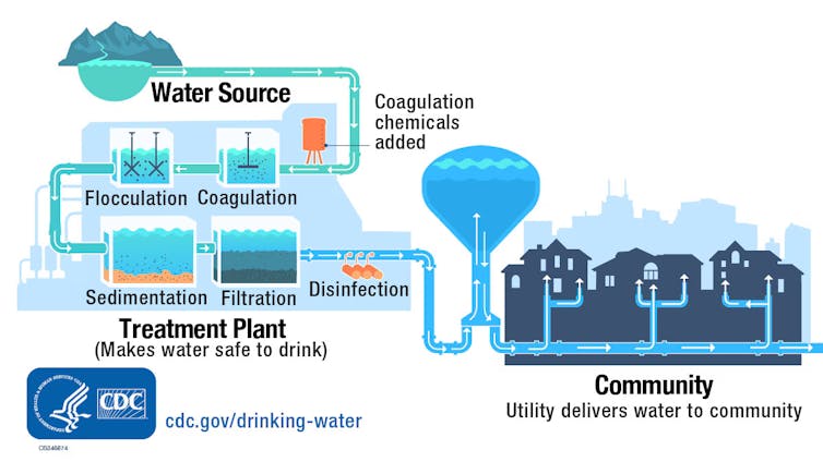 How does raw water compare to tap water? A microbiologist explains why the risks outweigh the benefits