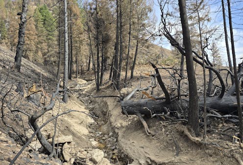 LA flash flood watch: Rain on wildfire burn scars can trigger destructive debris flows − a geologist explains how