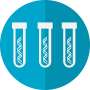 Genetic testing could improve treatment for patients with the virulent multidrug-resistant fungus Candida auris