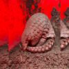 Scientists unveil potential new pangolin species, highlighting conservation challenges