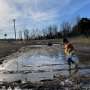 Study reveals native plants’ role in managing road salt pollution