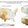 Young trees may be adapting to less-abundant rainfall, researchers suggest