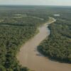 Deforestation boom in Gran Chaco raises alarm over Argentina’s forest law