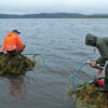 Researchers find microplastics for the first time in the Finnish Sámi waters