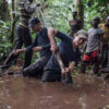 Only 17% of peatlands, vital to curbing climate change, are protected, study finds