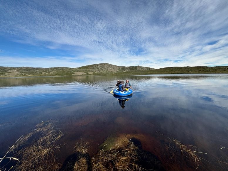 Thousands of Greenland’s Blue Lakes Turn Brown Overnight As Extreme Weather Triggers a Carbon Crisis