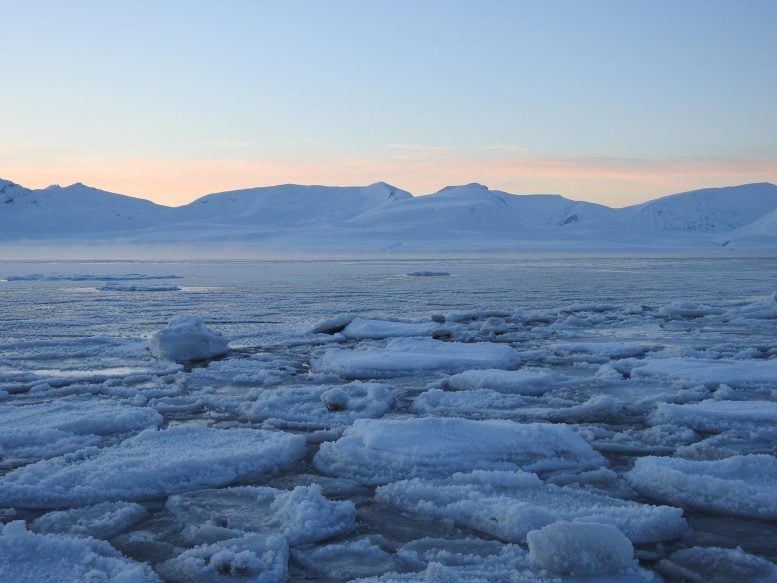 Earth’s Tipping Point: Arctic Meltdown Signals a Climate Catastrophe