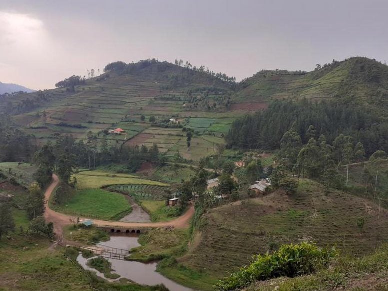 Africa’s Mountain Farmers Sound the Alarm: Climate Change Is Reshaping Their World