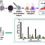 Char made from cigarette butts may help mitigate pollution in waterways