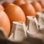 US dodged a bird flu pandemic thanks to eggs and dumb luck—with spread of new strain, will Americans get lucky again?