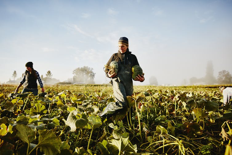 3 ways the Trump administration could reinvest in rural America’s future, starting with health care