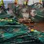 How scientists plan to prevent plastic pollution in the ocean