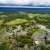 Protecting peatlands and mangroves could halve Southeast Asia’s land-use emissions