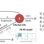 Why SARS-CoV-2 bounces back after antiviral treatment