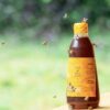 How a young beekeeper’s initiative brought hope and profit to Sierra Leone communities