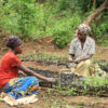 Funding freeze threatens global reforestation and restoration efforts