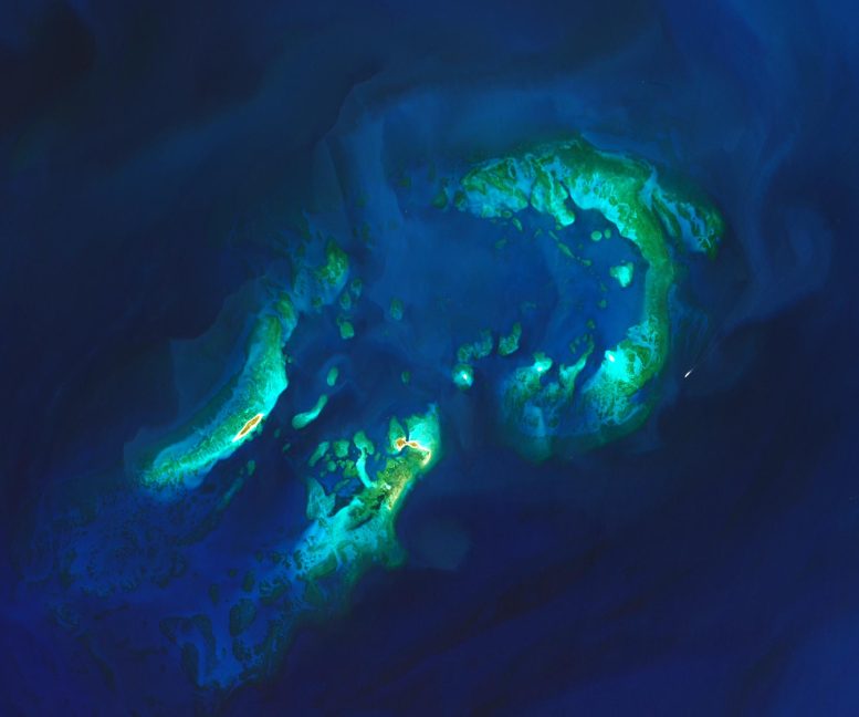 Lost Fortresses, Shifting Sands, and Coral Cities: The Secrets of Dry Tortugas