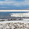 Lithium Triangle mining may strain water sources more than expected, study says