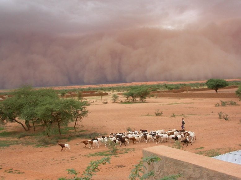 New Soil-Based Forecasting Could Revolutionize Tropical Storm Warnings