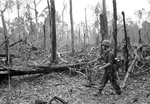 50 years later, Vietnam’s environment still bears the scars of war – and signals a dark future for Gaza and Ukraine