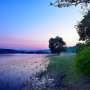 Greater regulation needed to protect freshwater environments from pharmaceutical drugs, says researcher