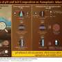 Nanoplastics in soil: How soil type and pH influence mobility
