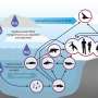 PFAS are polluting the Arctic, threatening both humans and animals