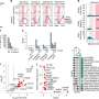 Short-term antibiotic use linked to long-lasting resistance in gut bacteria