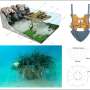Transplanting Posidonia oceanica: A scientific advance for conservation of seagrass meadows