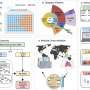AI method outperforms current standard in predicting antibiotic resistance